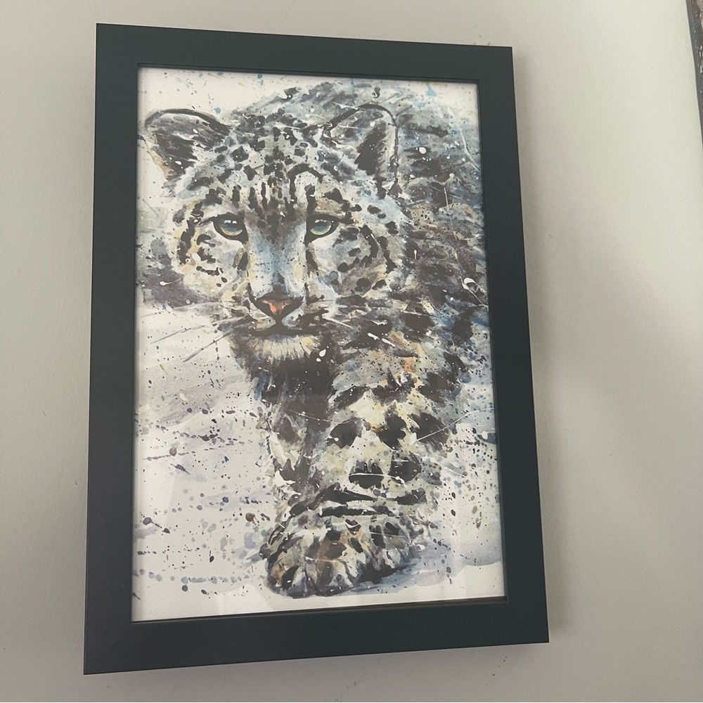 Black white teal eyes snow leopard pic